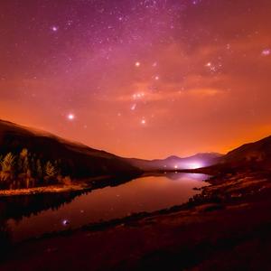 天天干老太太色网
